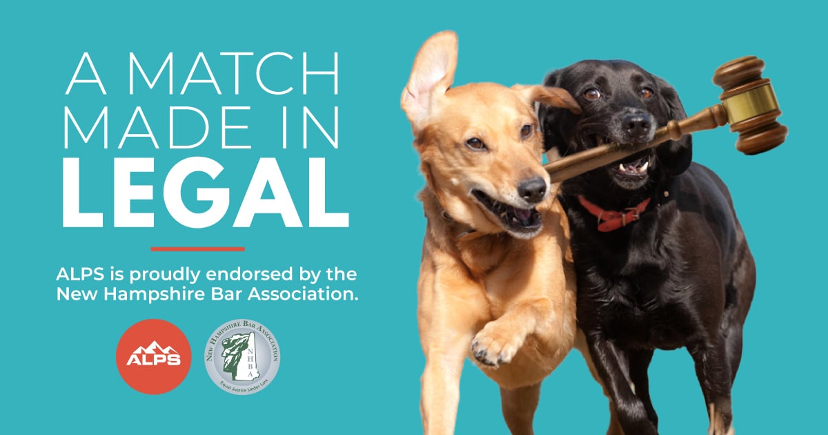 A yellow lab and a black lab carrying a gavel together